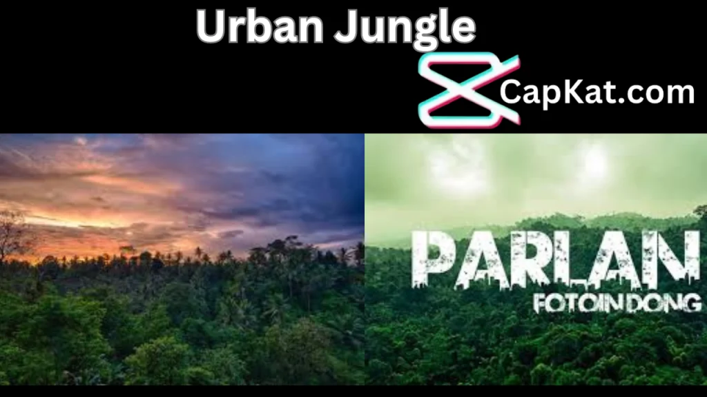 Urban Jungle CapCut Template