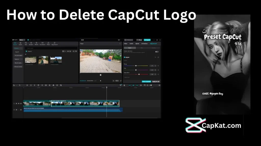 How to Delete CapCut Logo